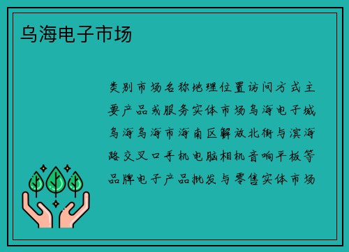 乌海电子市场